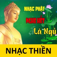 Nhạc thiền Phật pháp tịnh tâm