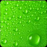Green Wallpaper HD & 4K