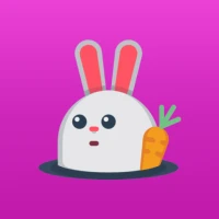 BunnyLive - LiveStream & Chat